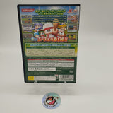 Jikkyou Powerful Pro Yakyuu 12